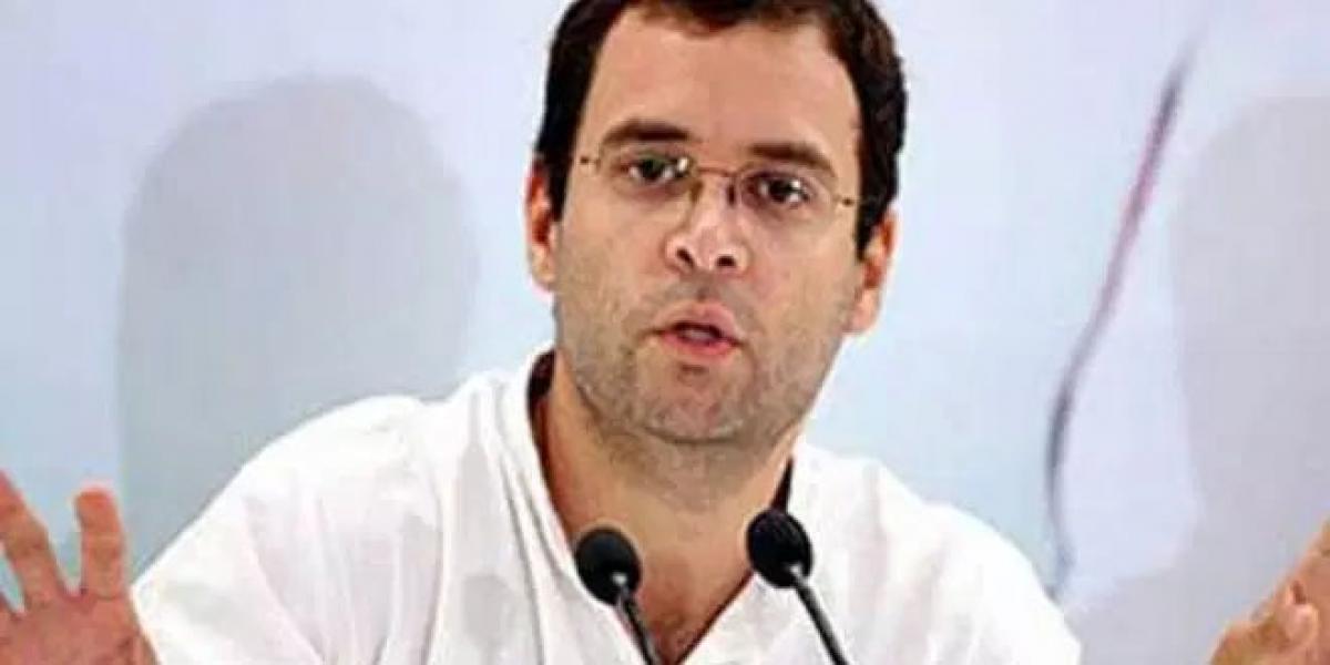 Rahul Gandhis elevation as Congress president on cards?